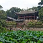 Jardín secreto del Palacio Changdeokgung en Seúl