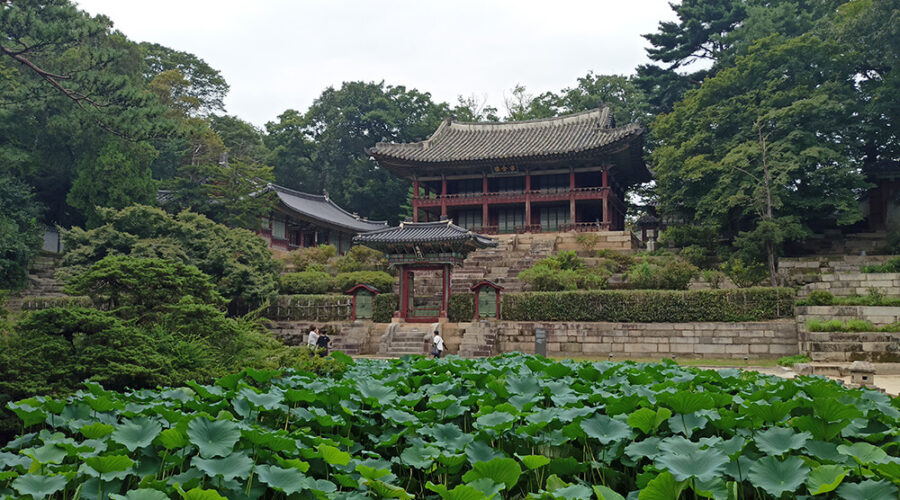 Jardín secreto del Palacio Changdeokgung en Seúl