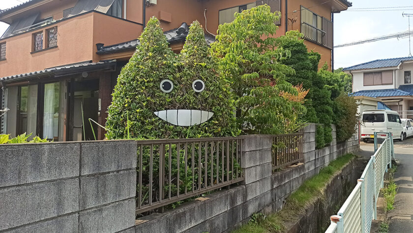 Seto de Totoro en Tokorozawa