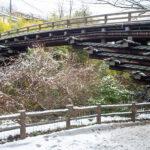 Puente Saruhashi en Otsuki