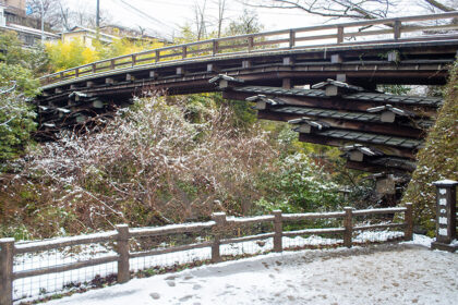 Puente Saruhashi en Otsuki