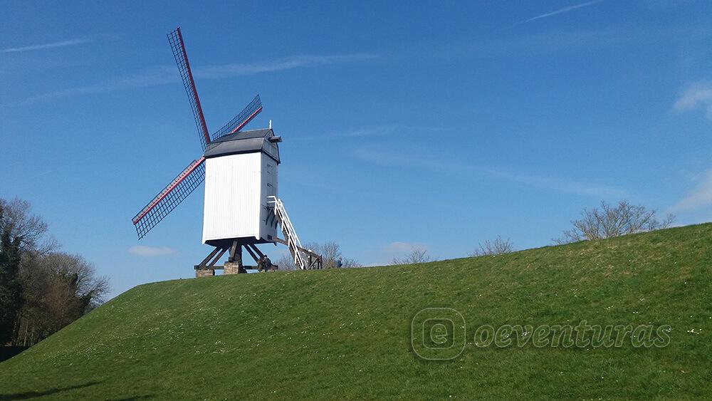 Molinos de viento en Brujas