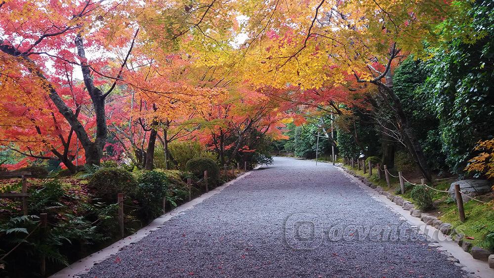 Camino al templo Ryoan-ji en Kyoto