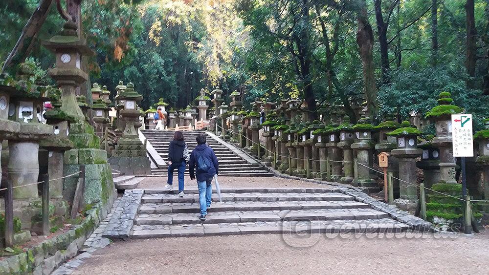 Camino que lleva al Santuario Kasuga de Nara