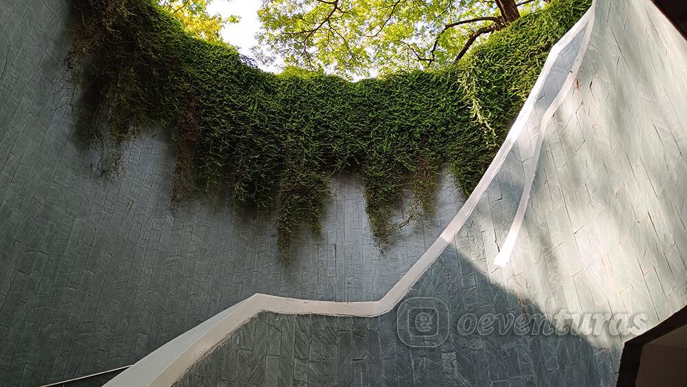 Fort Canning Tree Tunnel de Singapur