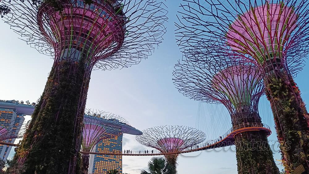 Superárboles de los Jardines de la Bahía en Singapur