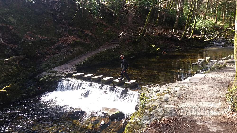 Río Shimna del Parque Forestal de Tollymore