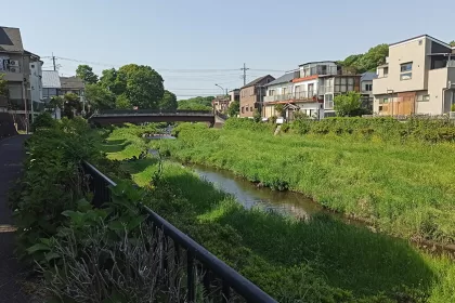 Río Nogawa de Chofu