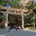 Torii del Santuario Meiji de Tokyo