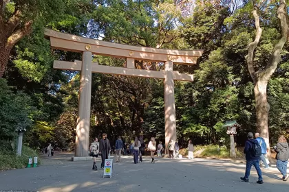 Torii del Santuario Meiji de Tokyo