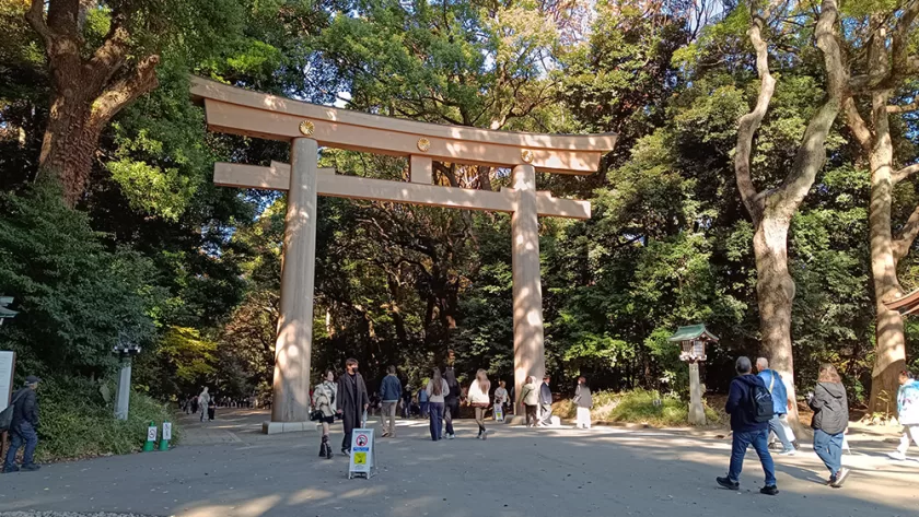 Torii del Santuario Meiji de Tokyo