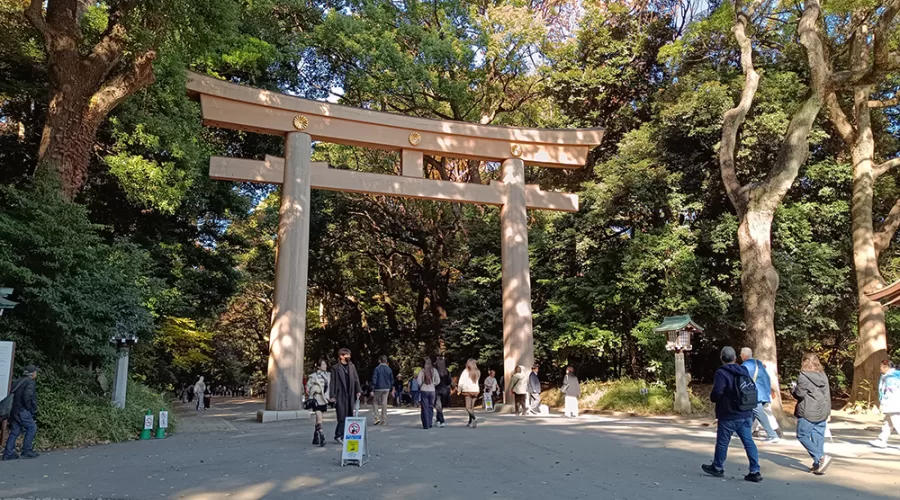 Torii del Santuario Meiji de Tokyo