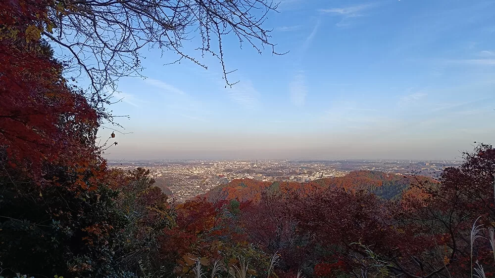 Vistas a la ciudad de Tokyo desde la cima del Monte Takao