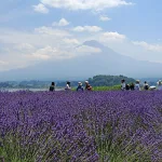 Parque Oishi del lago Kawaguchiko