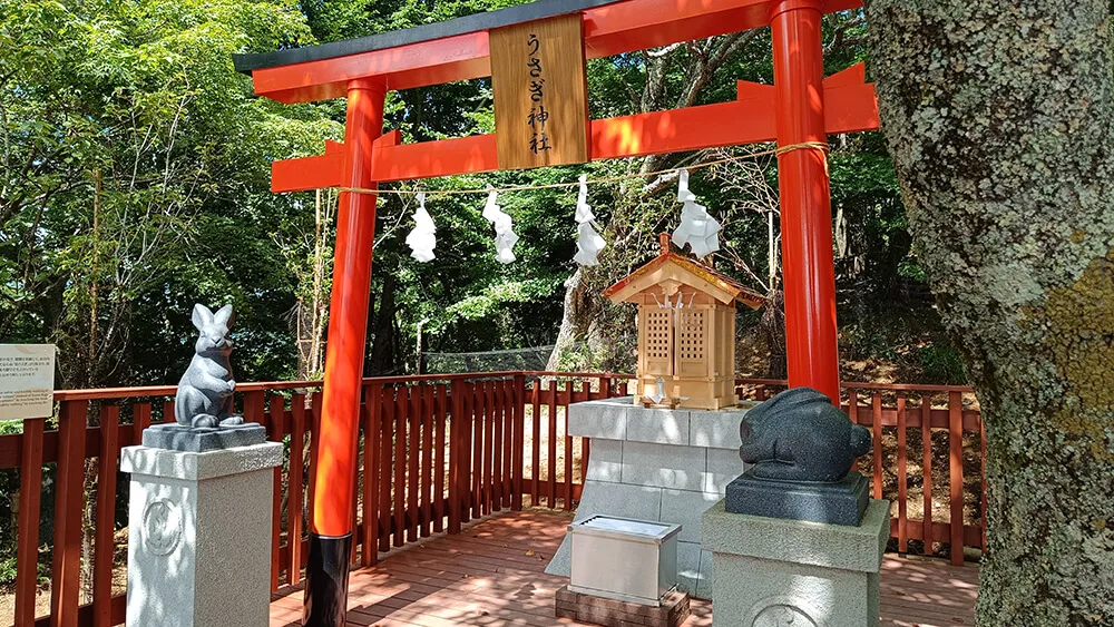 Santuario del conejo del lago Kawaguchiko
